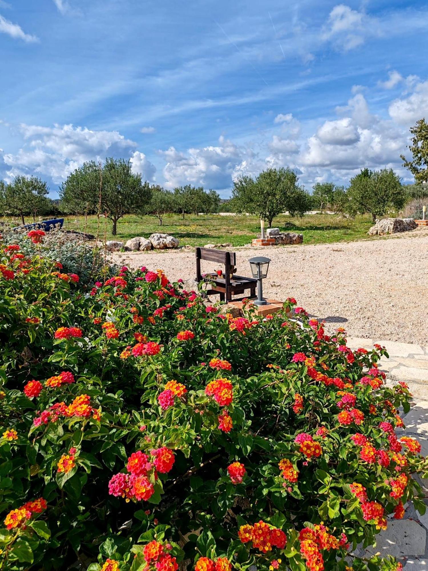 Holiday Home Juli With Jacuzzi Σίμπενικ Εξωτερικό φωτογραφία